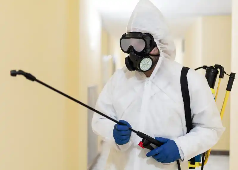Pest Control Blackburn