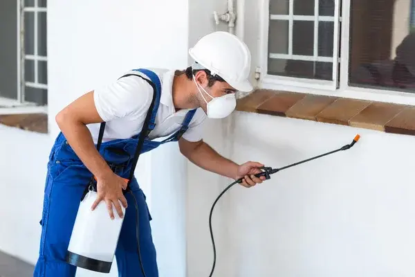 Pest Control Blackburn